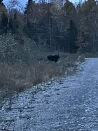 IMG_0911.jpeg