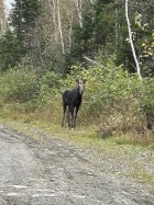 IMG_0909.jpeg