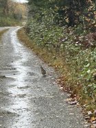 IMG_0889.jpeg