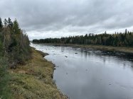 IMG_0877.jpeg
