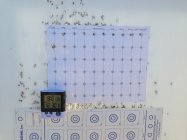Ammo cold temperature test 12-30-2018 - Copy.JPG
