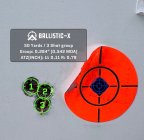 Ballistic-X-Export-2023-10-31 16:14:19.718318.jpg