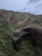 IMG_0492.jpeg
