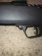 IMG_20231102_083848433.jpg