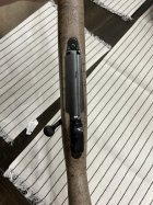 IMG_3271.jpeg IMG_3271.jpeg