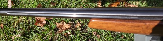 CZ5.jpg