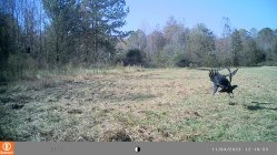 IMAG0042.jpg