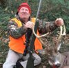 Deer 2016.jpg