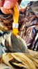 2016duckhunting2.jpg