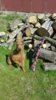 Resized_20160326_115301.jpg
