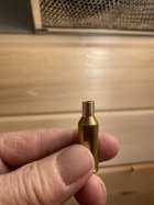 IMG_1395.jpeg
