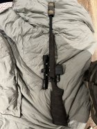 IMG_2625.jpeg