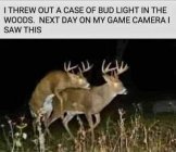 FB_IMG_1699128691877.jpg FB_IMG_1699128691877.jpg