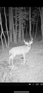 IMG_7021.jpeg