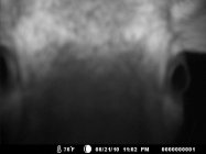 IMG_9648.jpeg