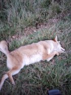 IMG_20231110_171203206.jpg