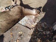 IMG_20231103_132210.jpg