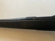 IMG_4929.jpeg