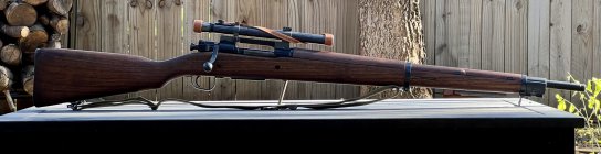 IMG_2949.jpeg