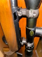 IMG_6765.jpeg