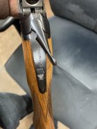 IMG_3261.jpeg