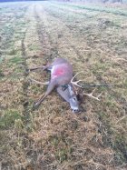 IMG_6807.jpeg