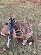 IMG_2546.jpeg
