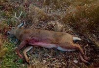 IMG_4079.jpeg