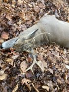 IMG_3182.jpeg