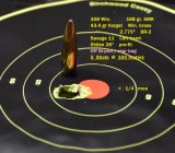308-168smk-varget-5-shots-100m1.jpg