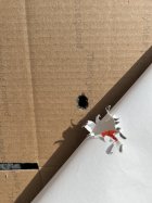 IMG_3240.jpeg