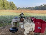 IMG_2477.jpeg