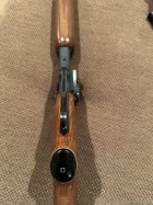 IMG_2485.jpeg