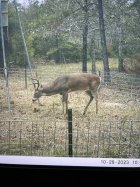 IMG_20231120_185040.jpg