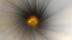 11_bore2.jpg