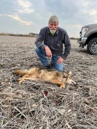 beanfield coyote.jpg