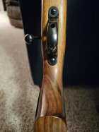 20231116_195740.jpg