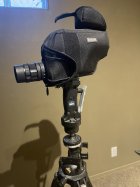 IMG_3440.jpeg