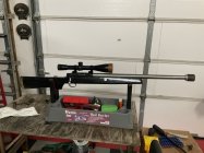IMG_2493.jpeg