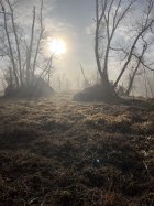 IMG_4447.jpeg