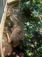 IMG_6502.jpeg