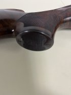 IMG_7556.jpeg