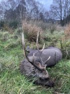 IMG_0547.jpeg