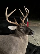 IMG_6237.jpeg