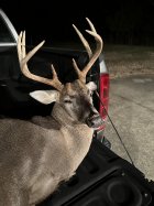 IMG_6236.jpeg