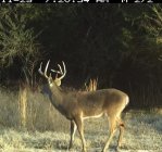 IMG_6222.jpeg