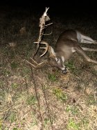 IMG_1244.jpeg