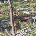 20231130_110823.jpg
