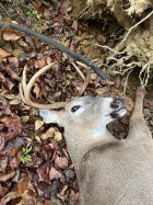 IMG_2602.jpeg