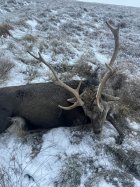 IMG_0915.jpeg